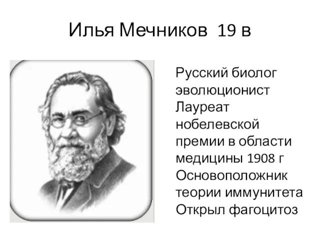 Илья Мечников 19 в Русский биолог эволюционист Лауреат нобелевской премии