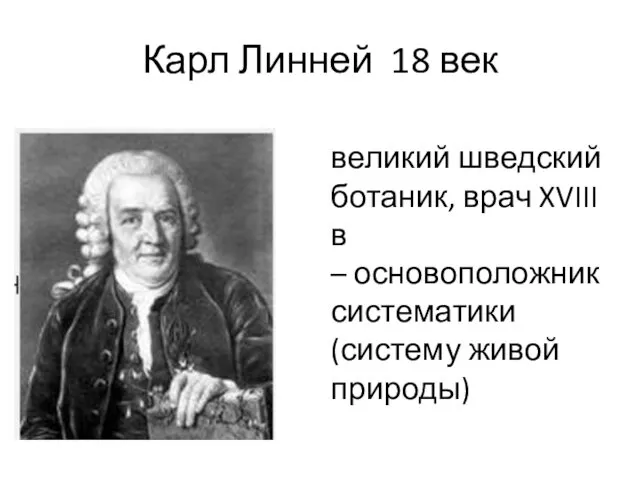 Карл Линней 18 век великий шведский ботаник, врач XVIII в – основоположник систематики (систему живой природы)