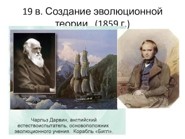 19 в. Создание эволюционной теории (1859 г.)