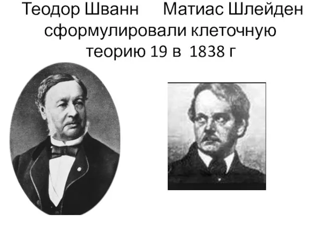 Теодор Шванн Матиас Шлейден сформулировали клеточную теорию 19 в 1838 г