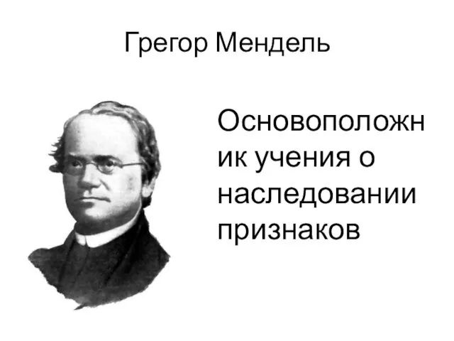 Грегор Мендель Основоположник учения о наследовании признаков