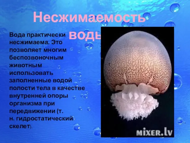 Вода практически несжимаема. Это позволяет многим беспозвоночным животным использовать заполненные