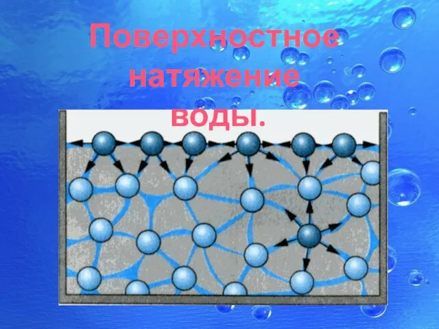 Поверхностное натяжение воды.