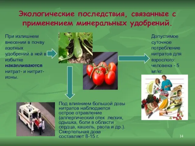 Экологические последствия, связанные с применением минеральных удобрений. Допустимое суточное потребление