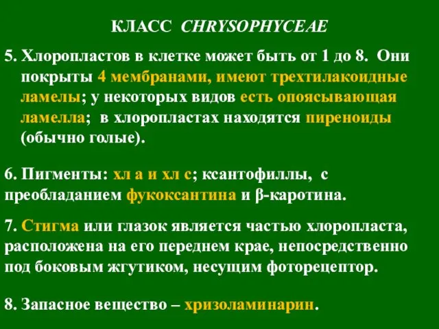 КЛАСС CHRYSOPHYCEAE 5. Хлоропластов в клетке может быть от 1