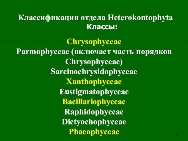 Классификация отдела Heterokontophyta Классы: Chrysophyceae Parmophyceae (включает часть порядков Chrysophyceae)