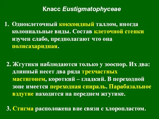 Класс Eustigmatophyceae Одноклеточный коккоидный таллом, иногда колониальные виды. Состав клеточной