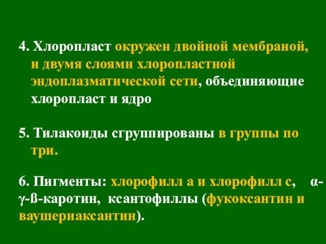 4. Хлоропласт окружен двойной мембраной, и двумя слоями хлоропластной эндоплазматической