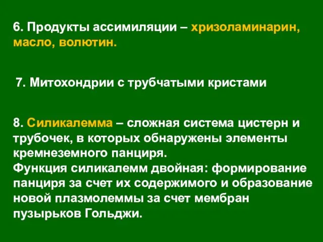 8. Силикалемма – сложная система цистерн и трубочек, в которых