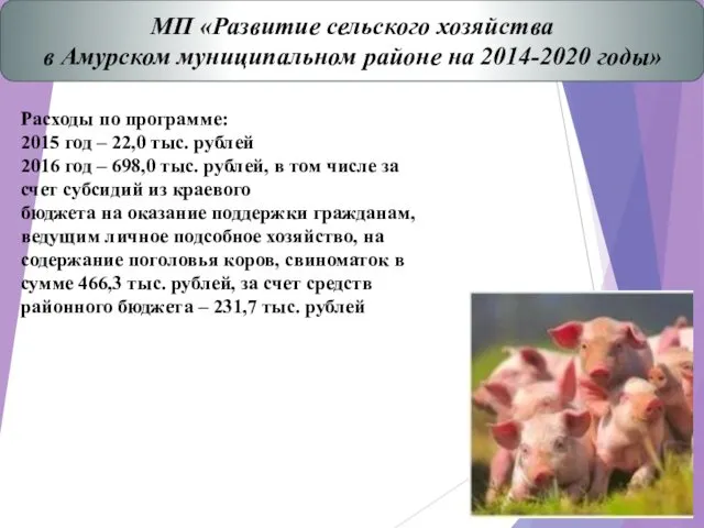 МП «Развитие сельского хозяйства в Амурском муниципальном районе на 2014-2020