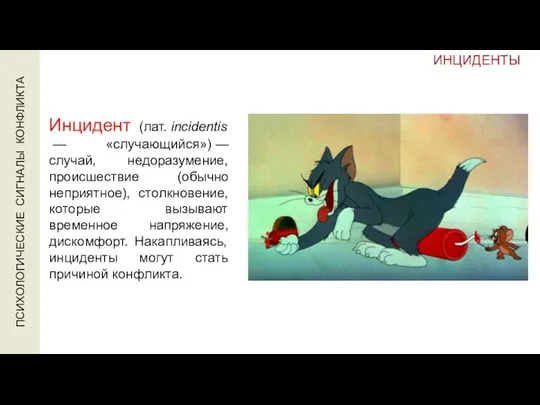 ИНЦИДЕНТЫ Инцидент (лат. incidentis — «случающийся») — случай, недоразумение, происшествие