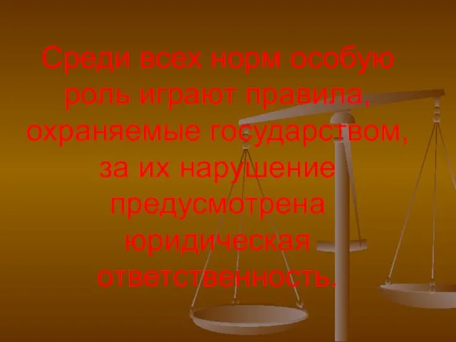 Среди всех норм особую роль играют правила, охраняемые государством, за их нарушение предусмотрена юридическая ответственность.