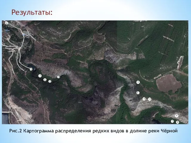 Рис.2 Картограмма распределения редких видов в долине реки Чёрной Результаты: