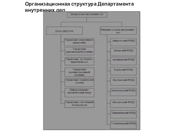 Организационная структура Департамента внутренних дел