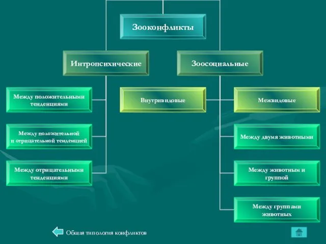 Общая типология конфликтов