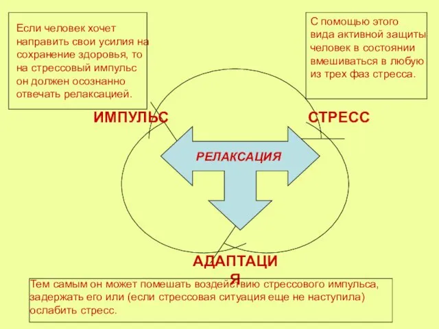 РЕЛАКСАЦИЯ Если человек хочет направить свои усилия на сохранение здоровья,