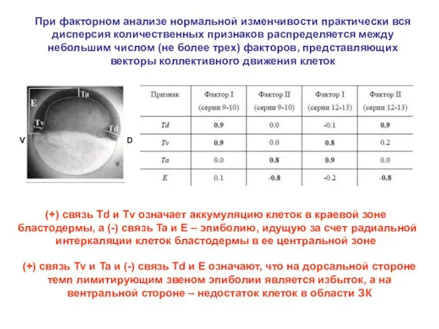 При факторном анализе нормальной изменчивости практически вся дисперсия количественных признаков