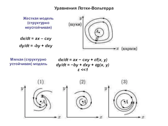 dx/dt = ax − cxy + εf(x, y) dy/dt =