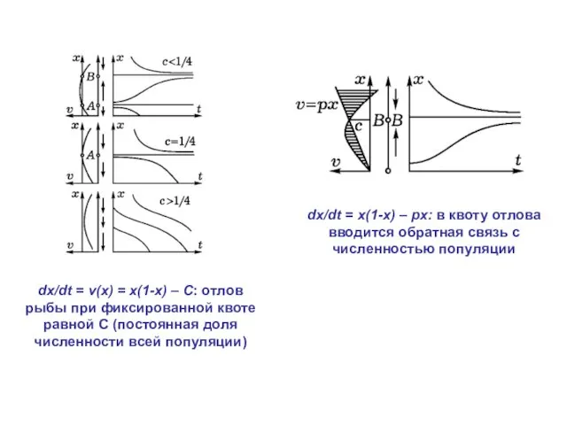 dx/dt = v(x) = x(1-x) – C: отлов рыбы при