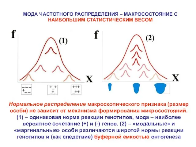 МОДА ЧАСТОТНОГО РАСПРЕДЕЛЕНИЯ – МАКРОСОСТОЯНИЕ С НАИБОЛЬШИМ СТАТИСТИЧЕСКИМ ВЕСОМ Нормальное