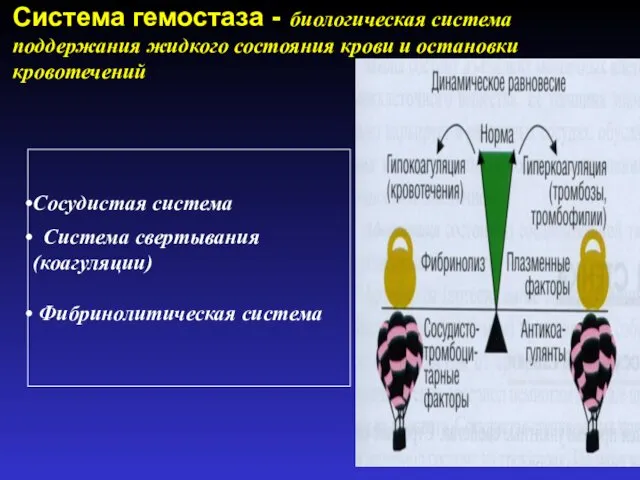 Система гемостаза - биологическая система поддержания жидкого состояния крови и