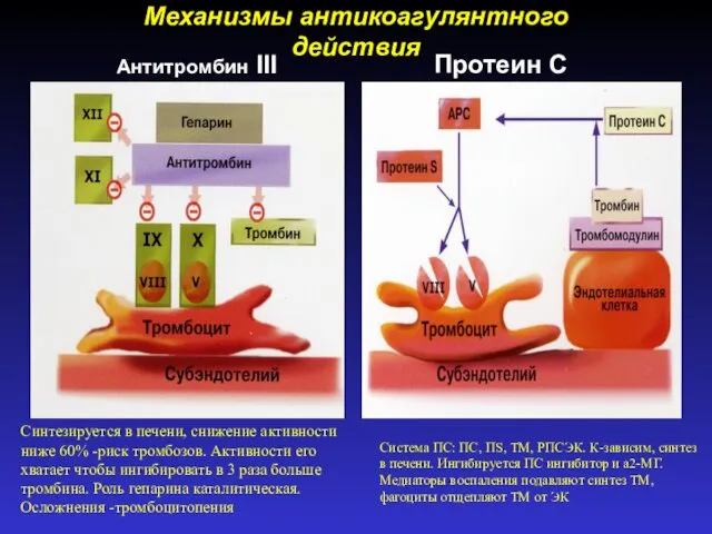 Механизмы антикоагулянтного действия Антитромбин III Протеин С Синтезируется в печени,