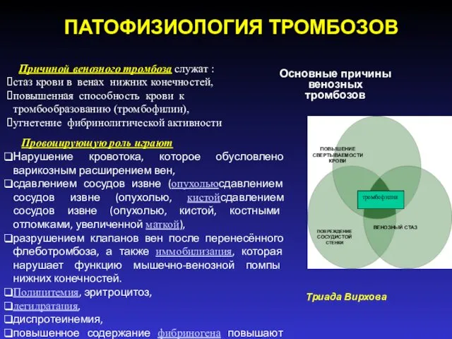 ПАТОФИЗИОЛОГИЯ ТРОМБОЗОВ Основные причины венозных тромбозов ПОВЫШЕНИЕ СВЕРТЫВАЕМОСТИ КРОВИ ПОВРЕЖДЕНИЕ