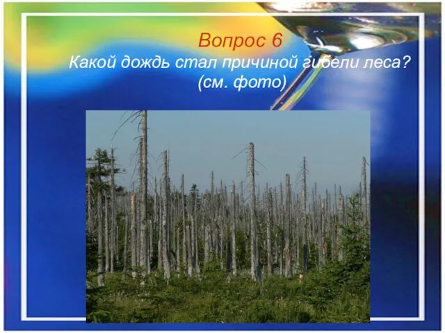 Вопрос 6 Какой дождь стал причиной гибели леса? (см. фото)