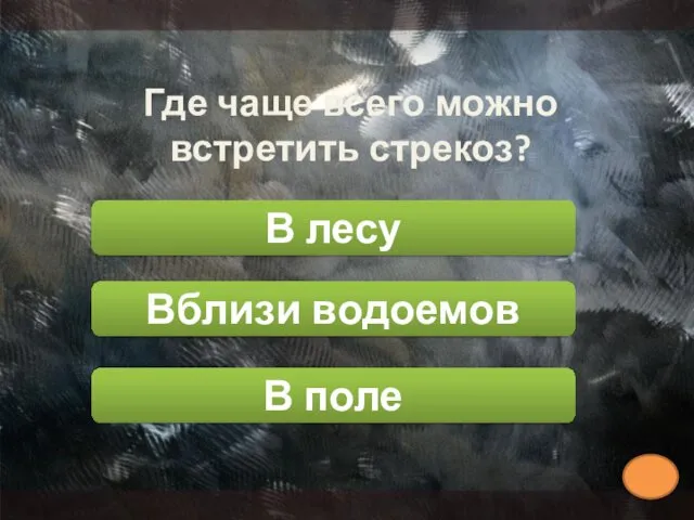 Где чаще всего можно встретить стрекоз? В лесу Вблизи водоемов В поле