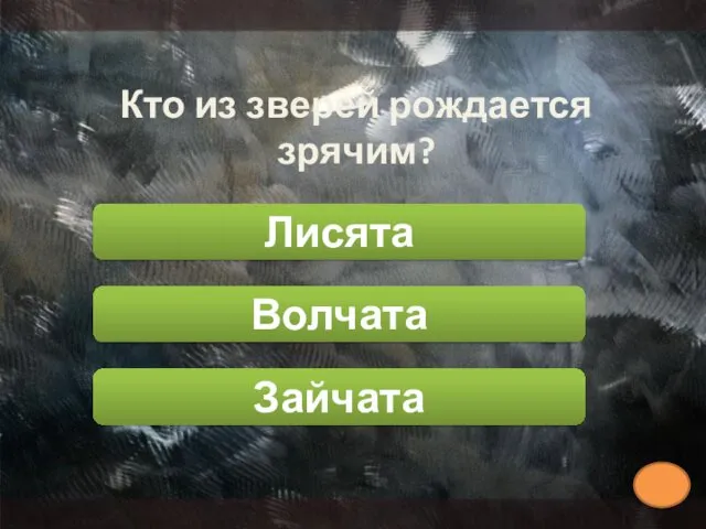 Кто из зверей рождается зрячим? Лисята Зайчата Волчата