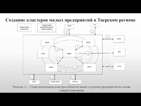 Создание кластеров малых предприятий в Тверском регионе Рисунок 11 –