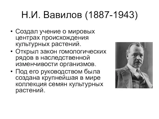 Н.И. Вавилов (1887-1943) Создал учение о мировых центрах происхождения культурных растений. Открыл закон