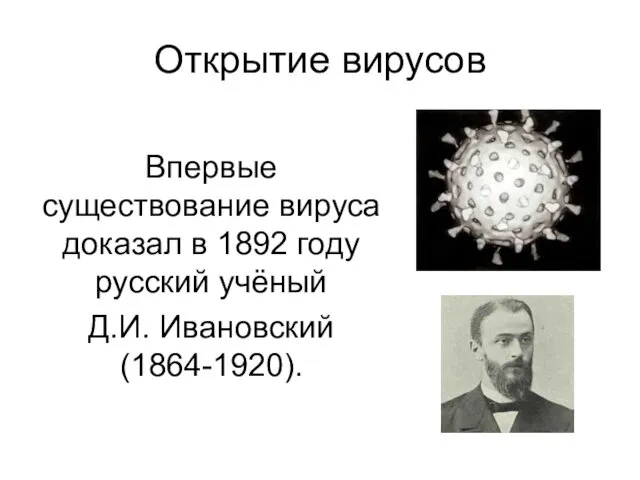Открытие вирусов Впервые существование вируса доказал в 1892 году русский учёный Д.И. Ивановский (1864-1920).