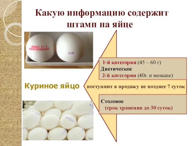 Какую информацию содержит штамп на яйце Столовое (срок хранения до