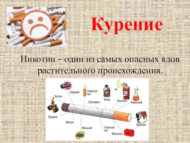 Курение Никотин – один из самых опасных ядов растительного происхождения.