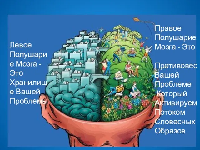 Правое Полушарие Мозга - Это Противовес Вашей Проблеме Который Активируем