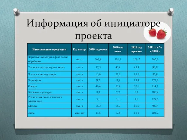 Информация об инициаторе проекта