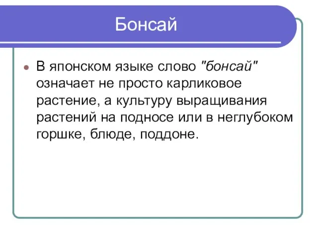 Бонсай В японском языке слово "бонсай" означает не просто карликовое