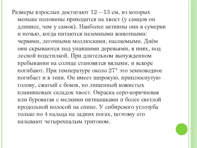 Размеры взрослых достигают 12—13 см, из которых меньше половины приходится на хвост (у