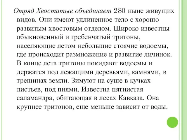 Отряд Хвостатые объединяет 280 ныне живущих видов. Они имеют удлиненное