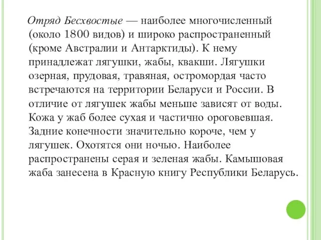 Отряд Бесхвостые — наиболее многочисленный (около 1800 видов) и широко распространенный (кроме Австралии