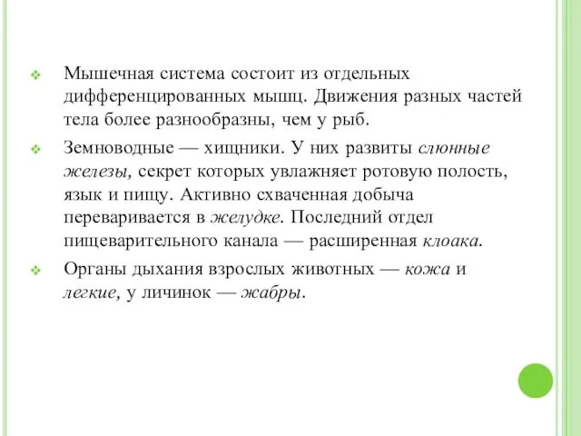 Мышечная система состоит из отдельных дифференцированных мышц. Движения разных частей