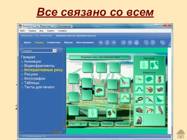 Задание: Командам предстоит проанализировать различные экологические ситуации, выявит причинно-следственные связи,