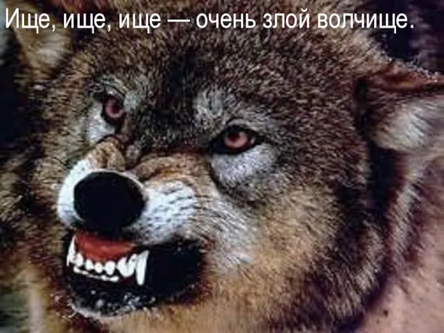 Ище, ище, ище — очень злой волчище.