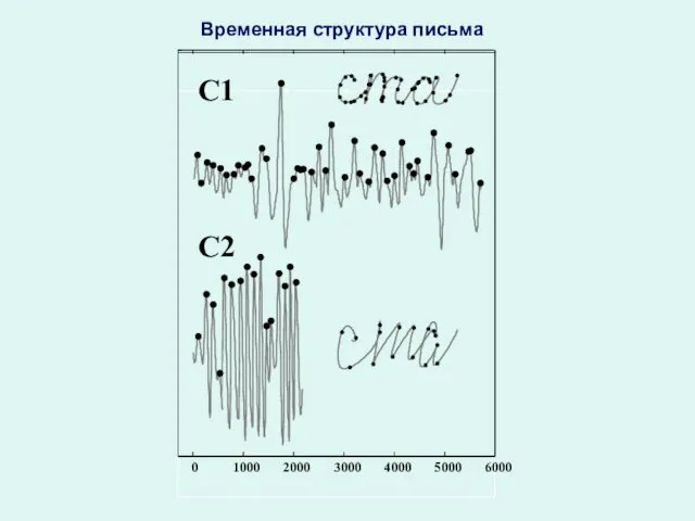 0 1000 2000 3000 4000 5000 6000 C1 C2 Временная структура письма