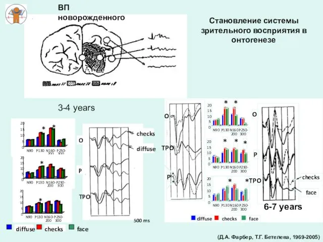 3-4 years 6-7 years ВП новорожденного Становление системы зрительного восприятия