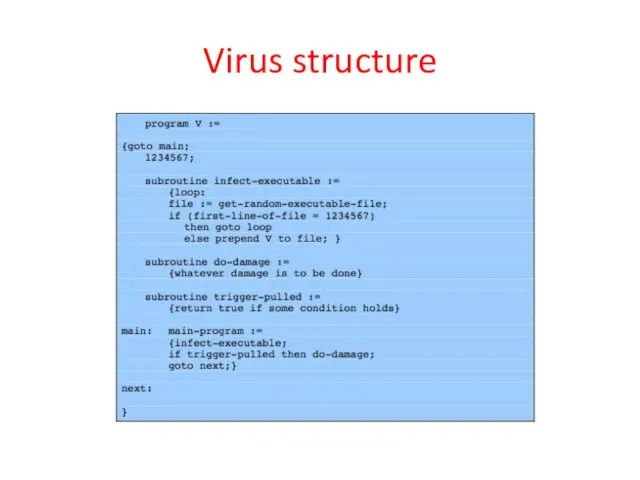 Virus structure