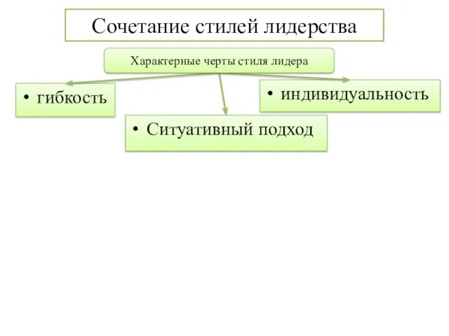 Сочетание стилей лидерства гибкость индивидуальность Ситуативный подход Характерные черты стиля лидера