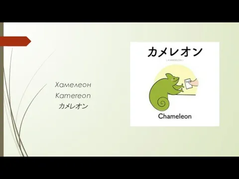 Хамелеон Kamereon カメレオン