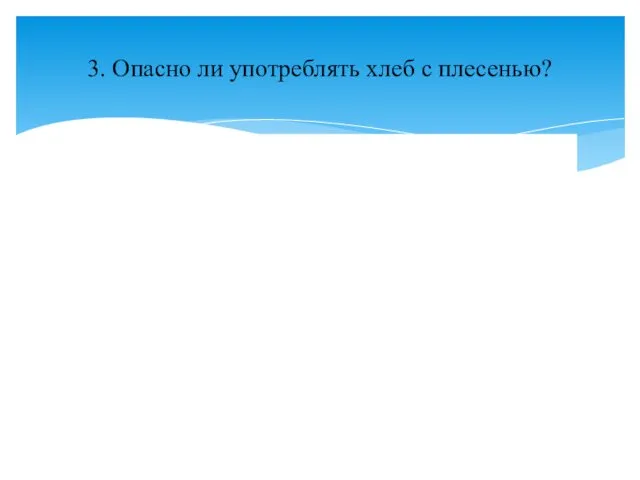 3. Опасно ли употреблять хлеб с плесенью?